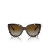 Gafas de sol Tiffany TF4215 8015T5 havana - Miniatura del producto 1/4