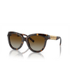 Tiffany TF4215 Sunglasses 8015T5 havana - product thumbnail 2/4