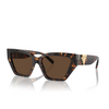 Tiffany TF4218 Sunglasses 80153G havana - product thumbnail 2/4