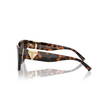 Tiffany TF4218 Sunglasses 80153G havana - product thumbnail 3/4