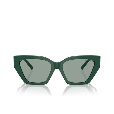 Tiffany TF4218 Sonnenbrillen 840882 green - Vorderansicht