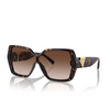 Tiffany TF4219 Sonnenbrillen 80153B havana - Produkt-Miniaturansicht 2/4