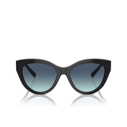 Lunettes de soleil Tiffany TF4220 80019S black