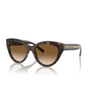 Tiffany TF4220 Sonnenbrillen 801551 havana - Produkt-Miniaturansicht 2/4