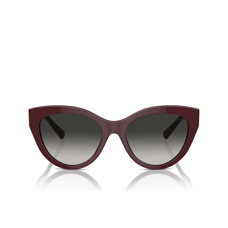 Tiffany TF4220 Sunglasses 83893C burgundy - 1/4