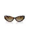 Tiffany TF4225U Sunglasses 8015T5 havana - product thumbnail 1/4