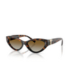 Tiffany TF4225U Sunglasses 8015T5 havana - product thumbnail 2/4