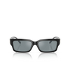 Lunettes de soleil Tiffany TF4226U 80016G black - Vignette du produit 1/4