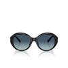 Occhiali da sole Tiffany TF4227BU 80014U black - anteprima prodotto 1/4