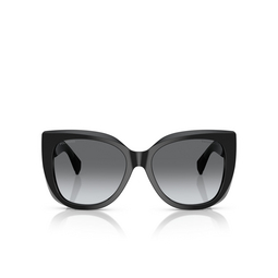 Tiffany TF4229 Sunglasses 8001T3 black