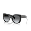 Tiffany TF4229 Sunglasses 8001T3 black - product thumbnail 2/4