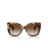 Tiffany TF4229 Sonnenbrillen 84213B spotted brown havana - Produkt-Miniaturansicht 1/4