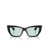 Tiffany TF4230 Sunglasses 8001D9 black - product thumbnail 1/4