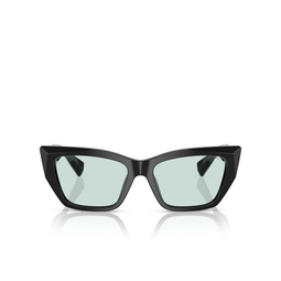 Gafas de sol Tiffany TF4230 8001D9 black