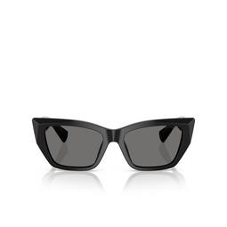 Tiffany TF4230 Sunglasses 8001S4 black