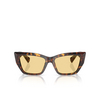 Tiffany TF4230 Sunglasses 8015/7 havana - product thumbnail 1/4