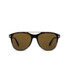 Lunettes de soleil Tom Ford DAMIAN-02 55J coloured havana - Vignette du produit 1/4