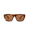 Tom Ford ASLAN Sunglasses 53E blonde havana - product thumbnail 1/4