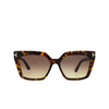 Tom Ford WINONA Sunglasses 52F dark havana - product thumbnail 1/4