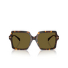 Versace VE4441 Sunglasses 108/73 havana - product thumbnail 1/4