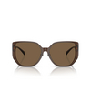 Lunettes de soleil Versace VE4449D 541673 transparent brown - Vignette du produit 1/4