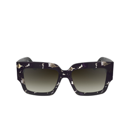 Victoria Beckham VB667S Sunglasses 010 black havana