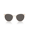 Vogue VO5230S Sunglasses 312487 full ivory - product thumbnail 1/4