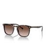 Vogue VO5328S Sonnenbrillen W65613 dark havana - Produkt-Miniaturansicht 2/4