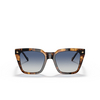 Vogue VO5380S Sunglasses 28194L havana honey - product thumbnail 1/4