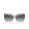 Vogue VO5481S Sunglasses 272611 transparent grey - product thumbnail 1/4