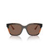 Lunettes de soleil Vogue VO5558S 313473 havana / transparent brown glitter - Vignette du produit 1/4