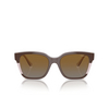 Gafas de sol Vogue VO5558S 3136T5 brown / transparent rose glitter - Miniatura del producto 1/4