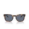 Gafas de sol Vogue VO5571S 28194Y honey havana - Miniatura del producto 1/4