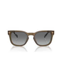 Gafas de sol Vogue VO5571S 314411 transparent olive green