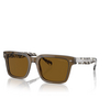 Vogue VO5573S Sonnenbrillen 314483 transparent olive green - Produkt-Miniaturansicht 2/4