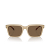 Lunettes de soleil Vogue VO5573S W90073 opal beige - Vignette du produit 1/4