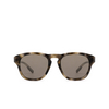 Occhiali da sole Zegna EZ0221 20J grey / striped / shiny dark brown - anteprima prodotto 1/3