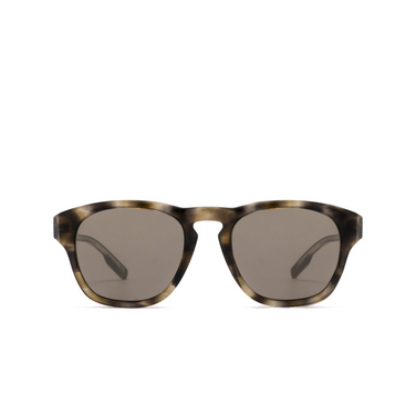 Zegna EZ0221 Sunglasses 20J grey / striped / shiny dark brown - front view