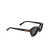 Lunettes de soleil Zegna EZ0229 05N black / monocolor - Vignette du produit 2/3