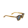 Gafas de sol Zegna EZ0229 47V light brown / striped - Miniatura del producto 2/3