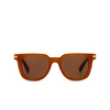 Zegna EZ0248 Sunglasses 45E shiny light brown - product thumbnail 1/3