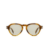 Zegna EZ0252 Sunglasses 47E light brown / striped - product thumbnail 1/3