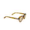 Zegna EZ0252 Sunglasses 47E light brown / striped - product thumbnail 2/3