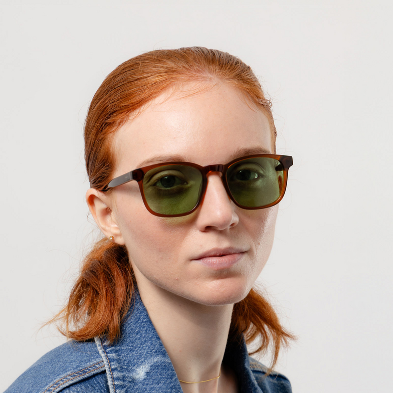 Agaze INSADONG SUN Sunglasses C003 crystal brown - 4/7