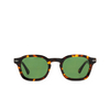 Agaze PERERENAN SUN Sunglasses 002 havana - product thumbnail 1/2