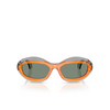 Alain Mikli A05517 Sonnenbrillen 004/3H transparent grey / orange / ostrich - Produkt-Miniaturansicht 1/3