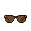 Alexander McQueen AM0439S Sunglasses 003 havana - product thumbnail 1/4