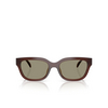 Gafas de sol Armani Exchange AX4155SU 837373 shiny opal brown - Miniatura del producto 1/3