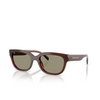 Gafas de sol Armani Exchange AX4155SU 837373 shiny opal brown - Miniatura del producto 2/3