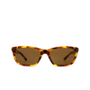 Lunettes de soleil Balenciaga BB0403SK 002 havana - Vignette du produit 1/5